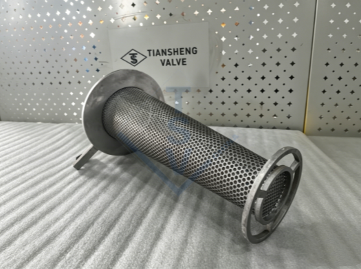 Temporary strainer